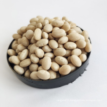 For Sale Market Price New Crop White Navy Kidney Beans